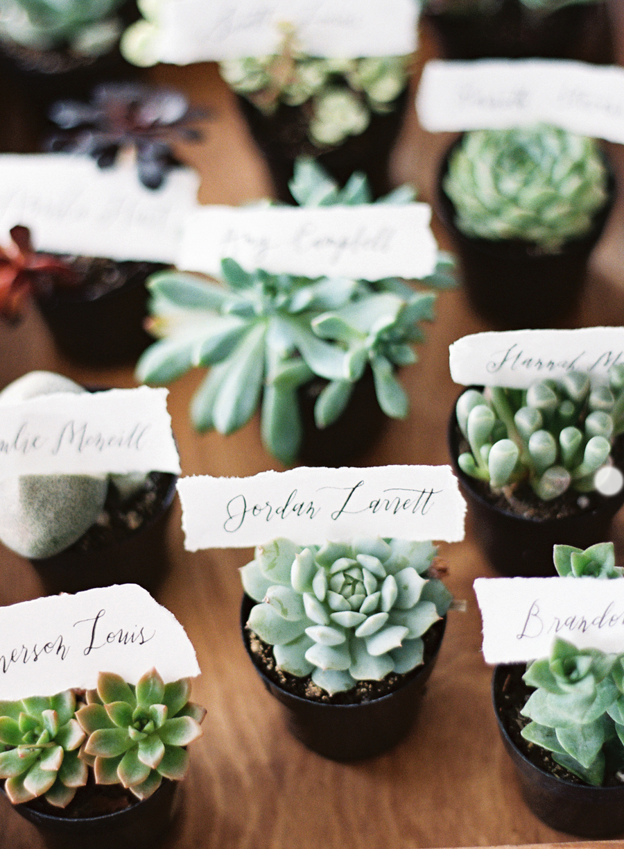 Unexpected Ways to Use Succulents as Part of Your Wedding 