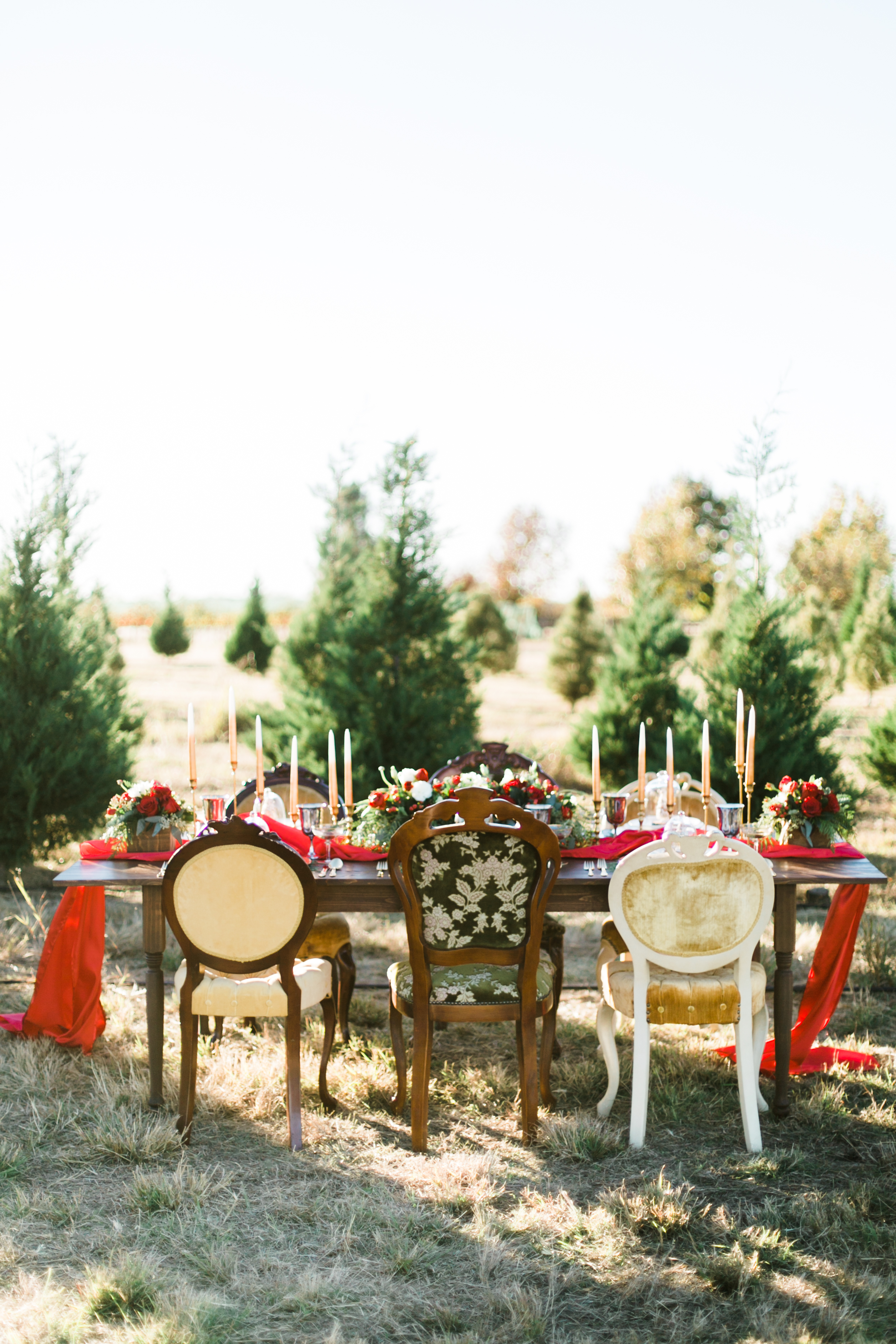 25 Festive Christmas TreeInspired Wedding Ideas Martha Stewart Weddings