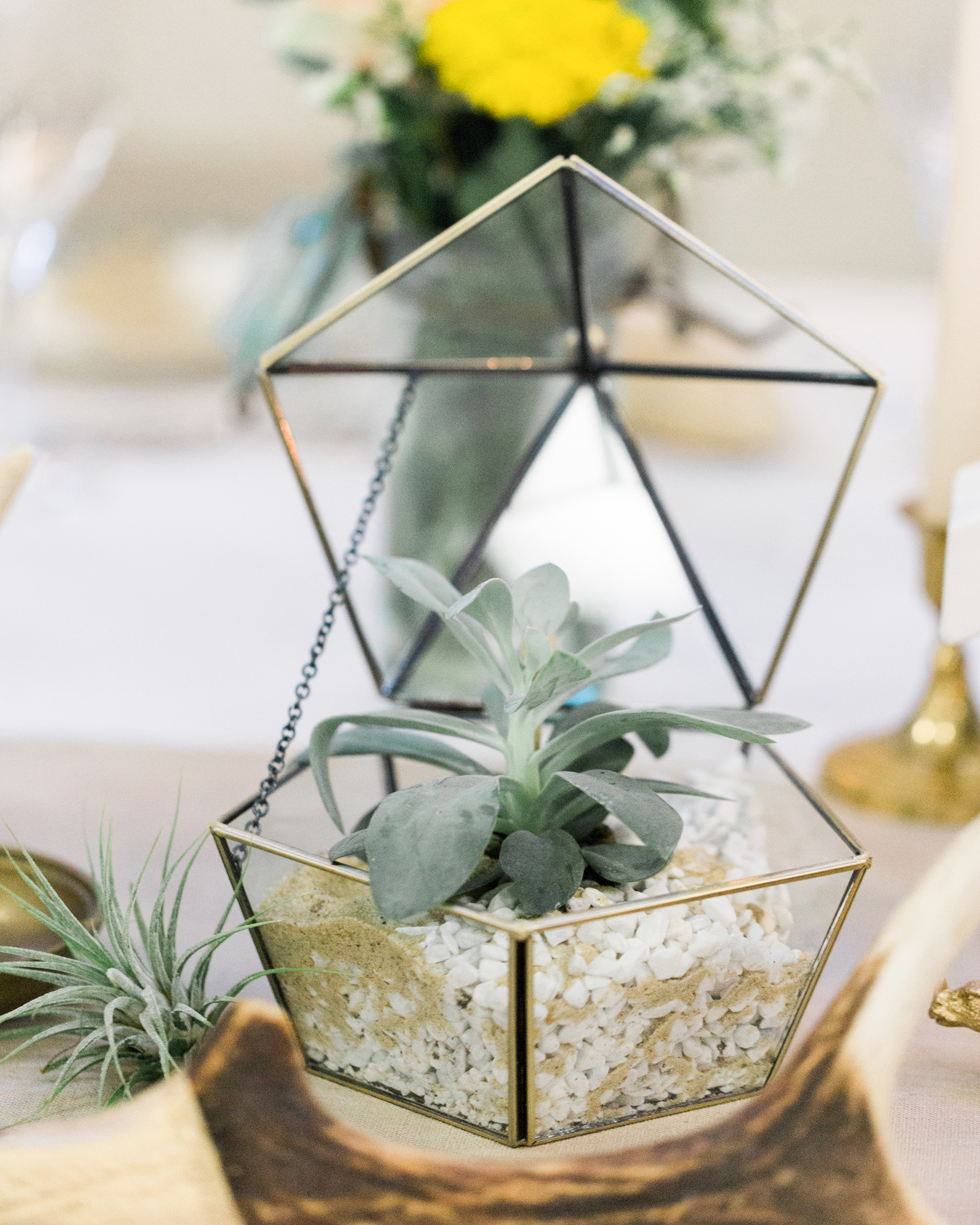18 Inventive Ways To Incorporate Terrariums Into Your Wedding Décor Martha Stewart Weddings 9666