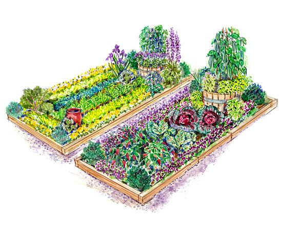 Plans for Vegetable Gardens Better Homes Gardens