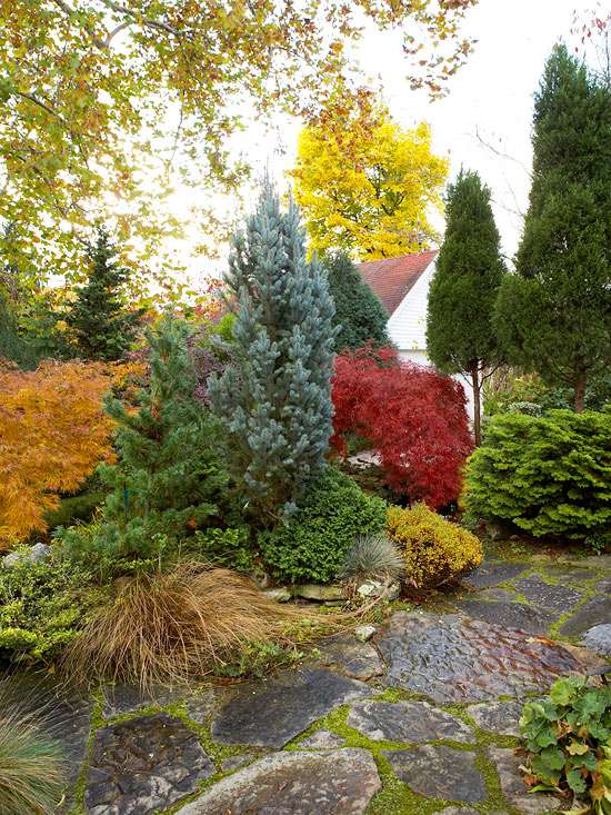 Make Your Own Fall Finale Better, Fall Landscape Ideas