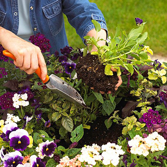 Basic Planting Guide What You Need To, Planting Your First Garden