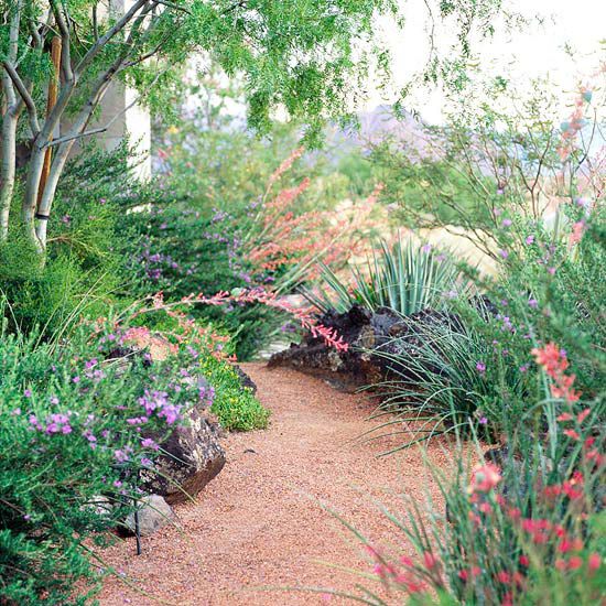 Easy Care Desert Landscaping Ideas Better Homes Gardens