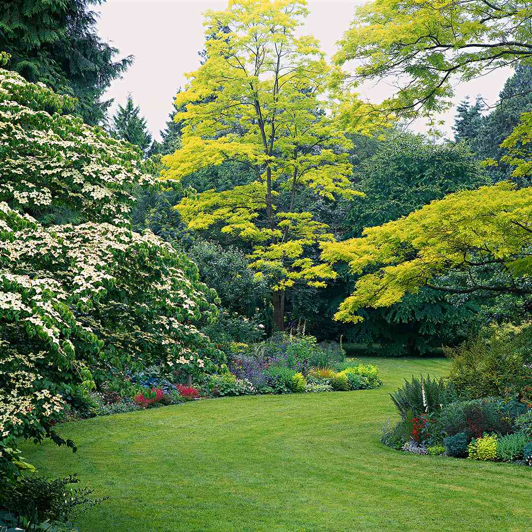Easy Landscaping Ideas You Can Try | Better Homes & Gardens