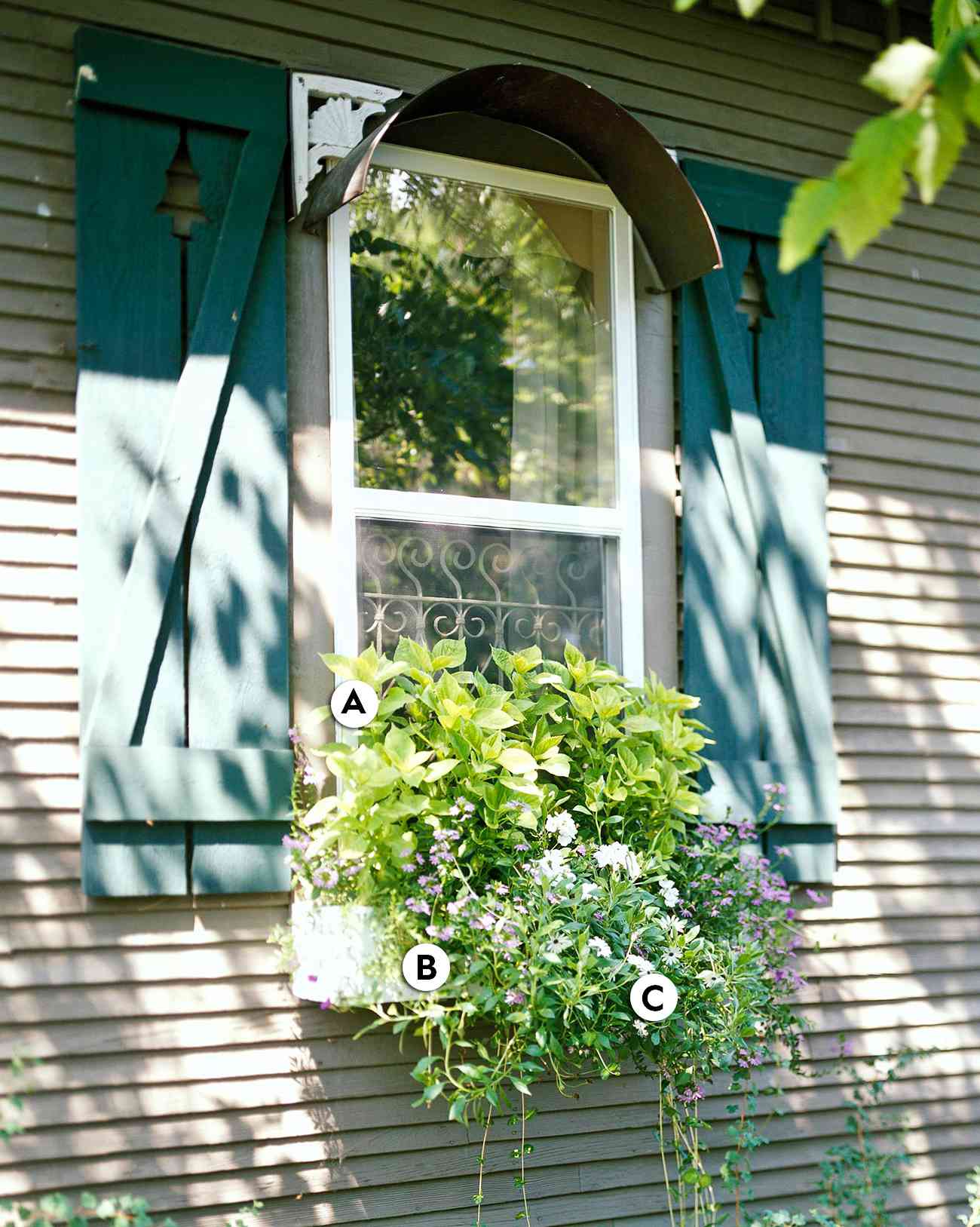 16 Easy Shade Window Box Ideas Better Homes Gardens