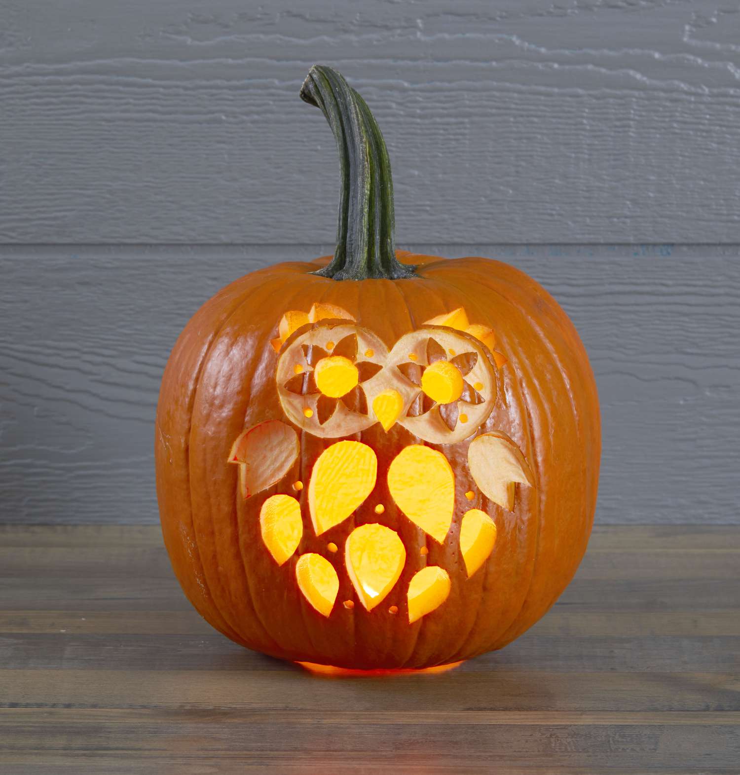 Owl Pumpkin Carving Owl Pumpkin Carving Pumpkin Carving Halloween | My ...