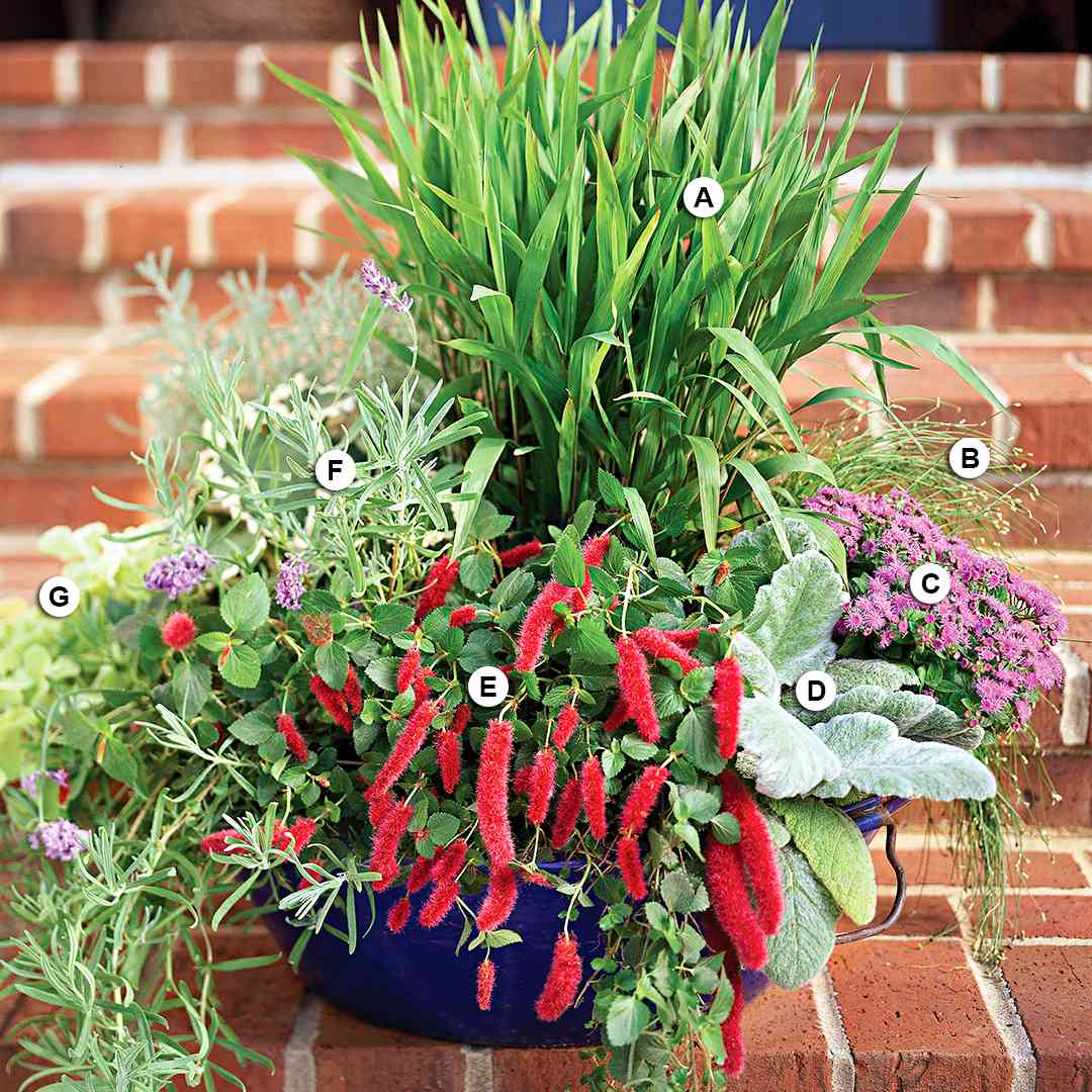 36 container garden recipes for a stunning display