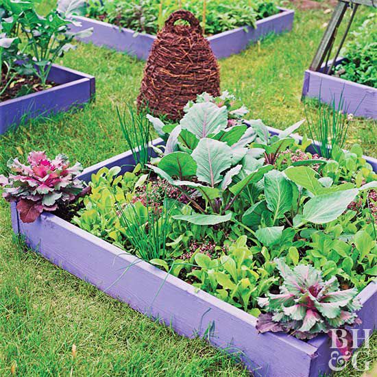Free Vegetable Garden Layout Plans And Spacing Outdoor Decor Ideas