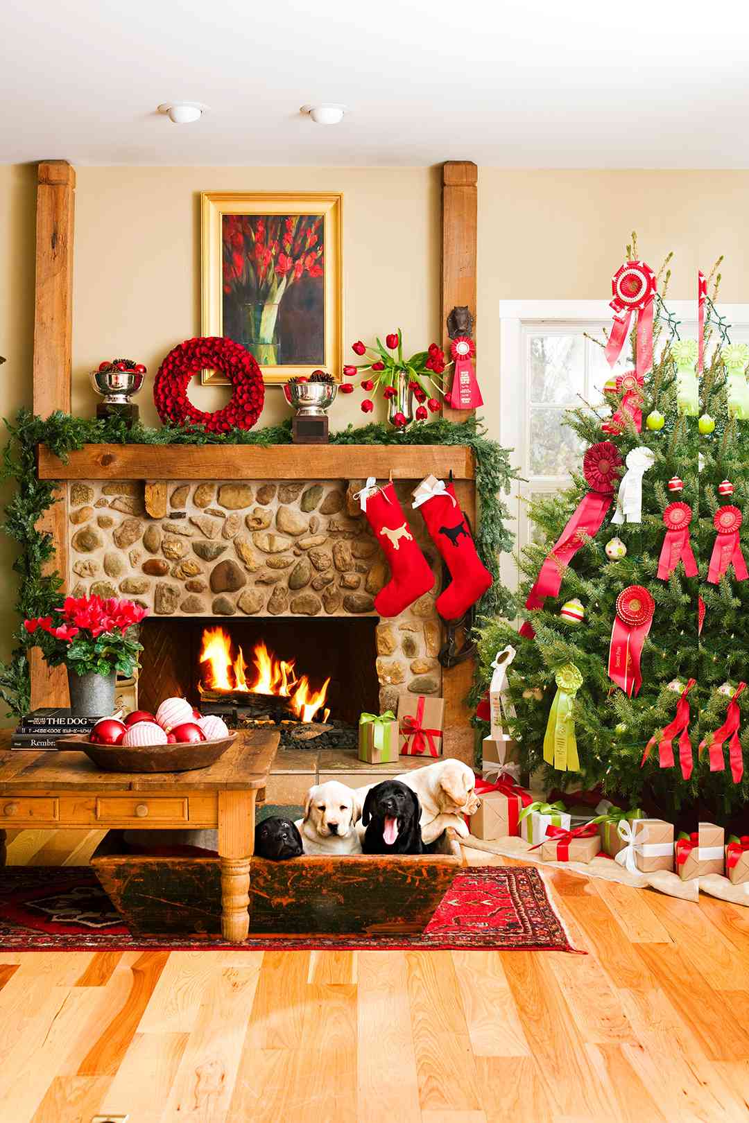 Featured image of post Real Home Christmas Tree Images - Find the perfect christmas tree image from our incredible photo library.