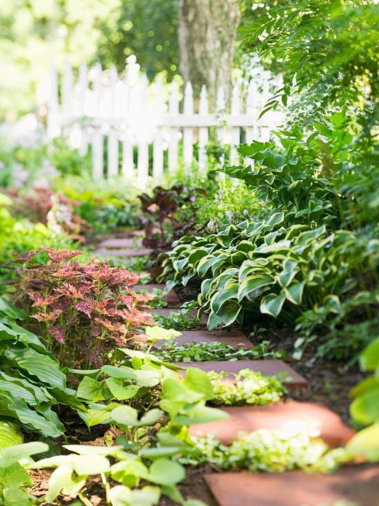 Stunning Shade Garden Design Ideas