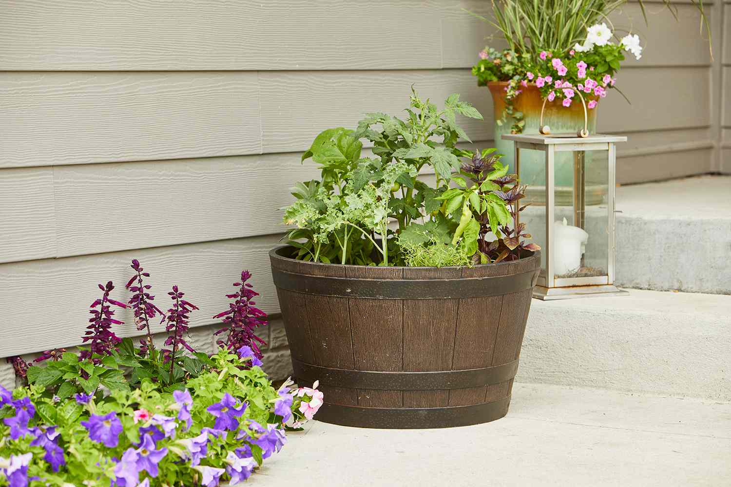 growing vegetables in containers | better homes & gardens