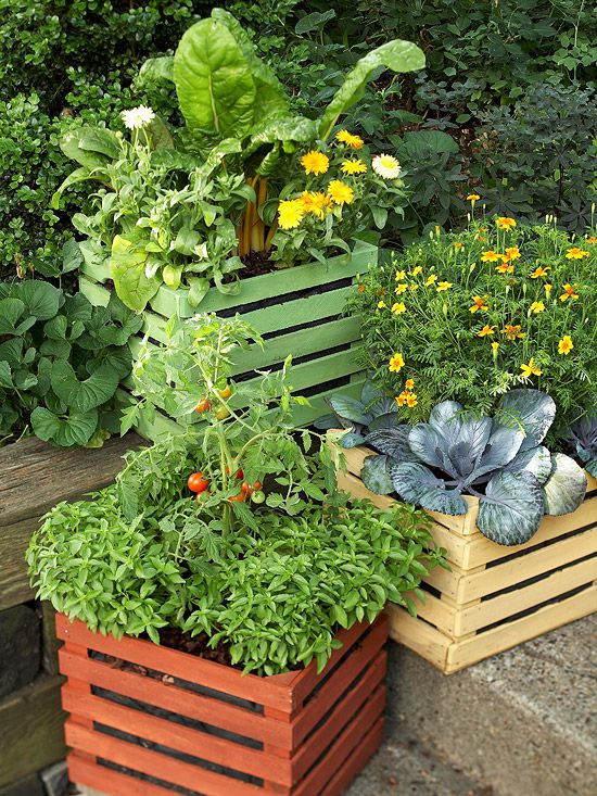 Vegetable Container Size Chart