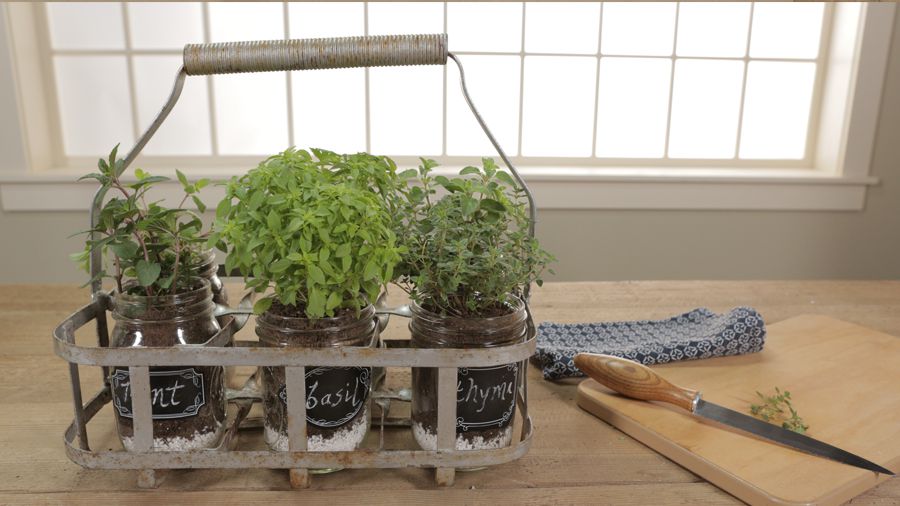 Portable Indoor Herb Garden Better, Countertop Herb Garden