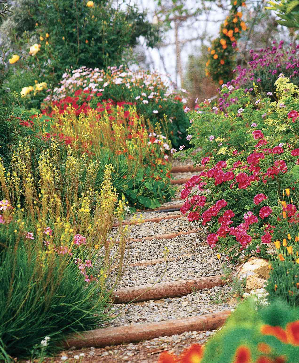 6 steps to a no-work cottage garden | better homes & gardens