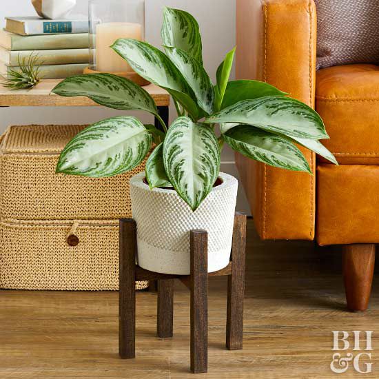 Wood Plant Stand Better Homes Gardens, Wooden Indoor Plant Stand Ideas