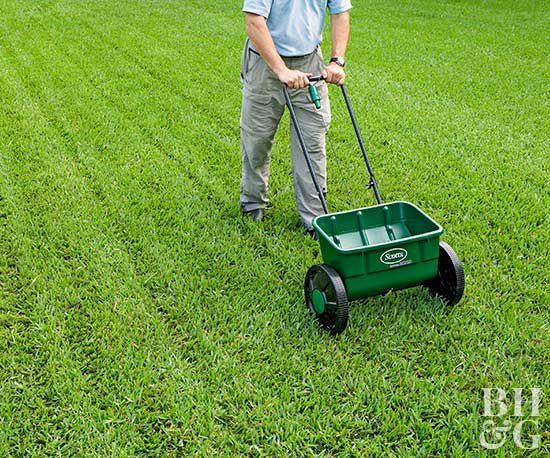 How to Winterize Your Lawn Better Homes & Gardens