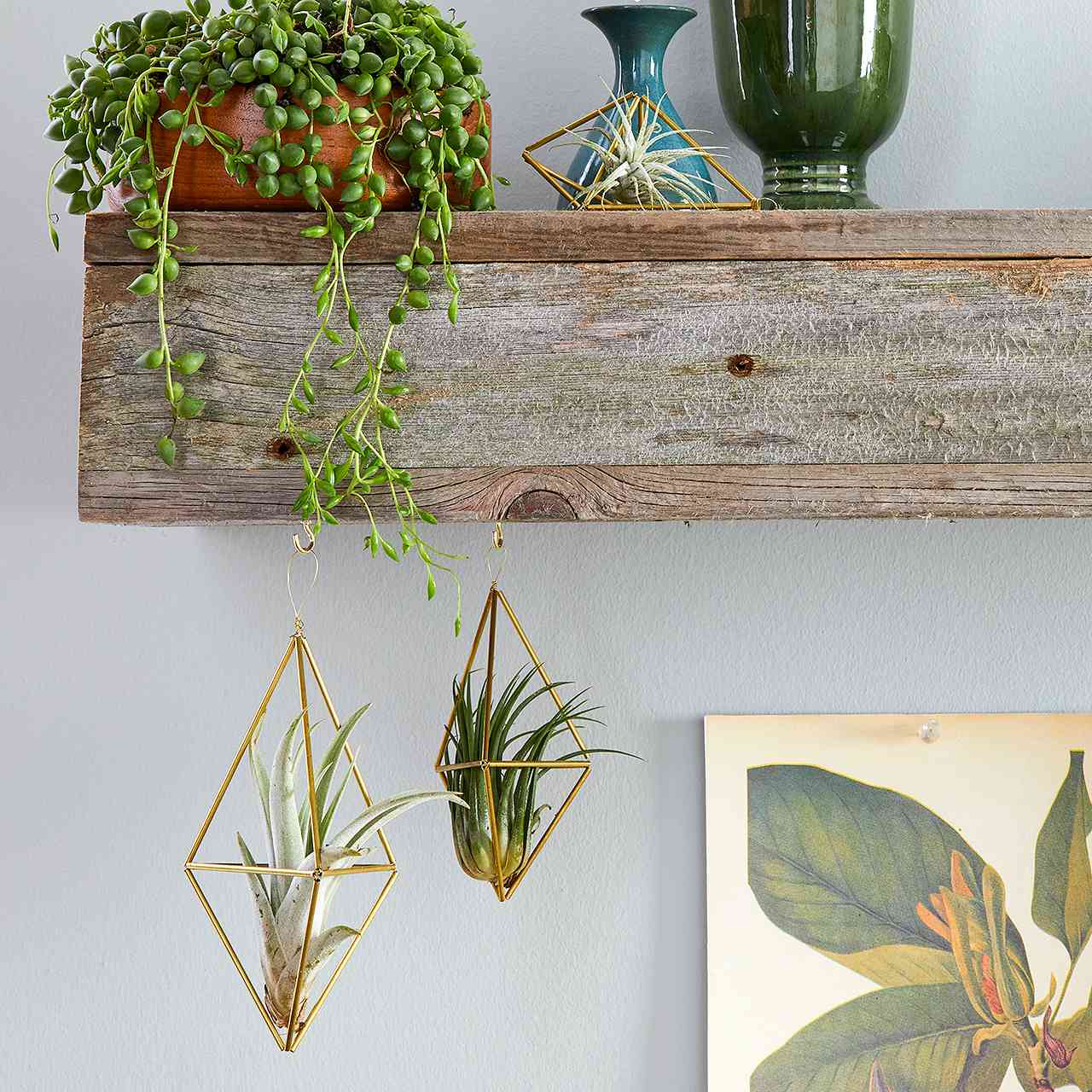 Copper pipe wall mounted planter indoor