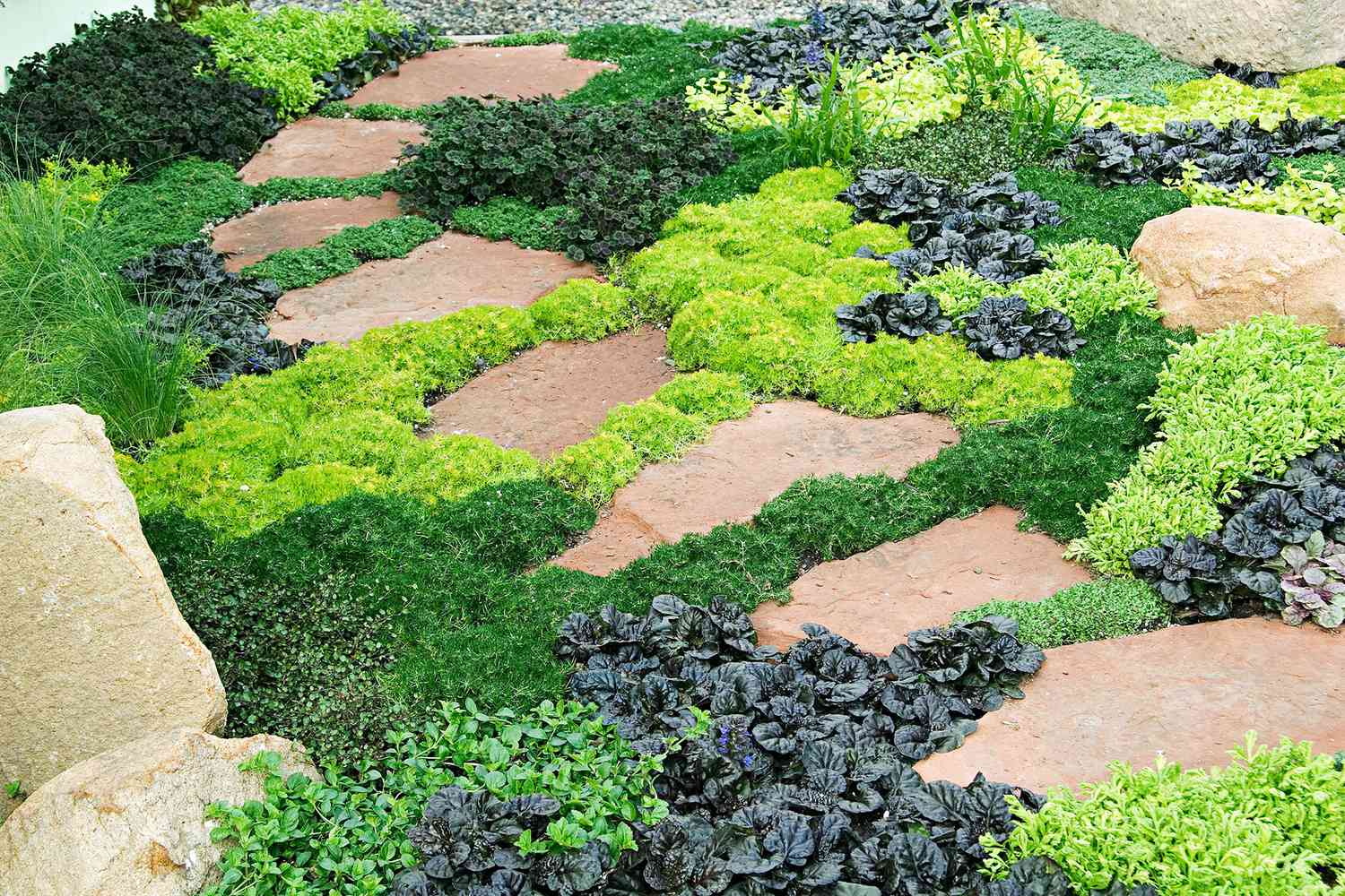 stone walkway with ground cover plants 9729d88a