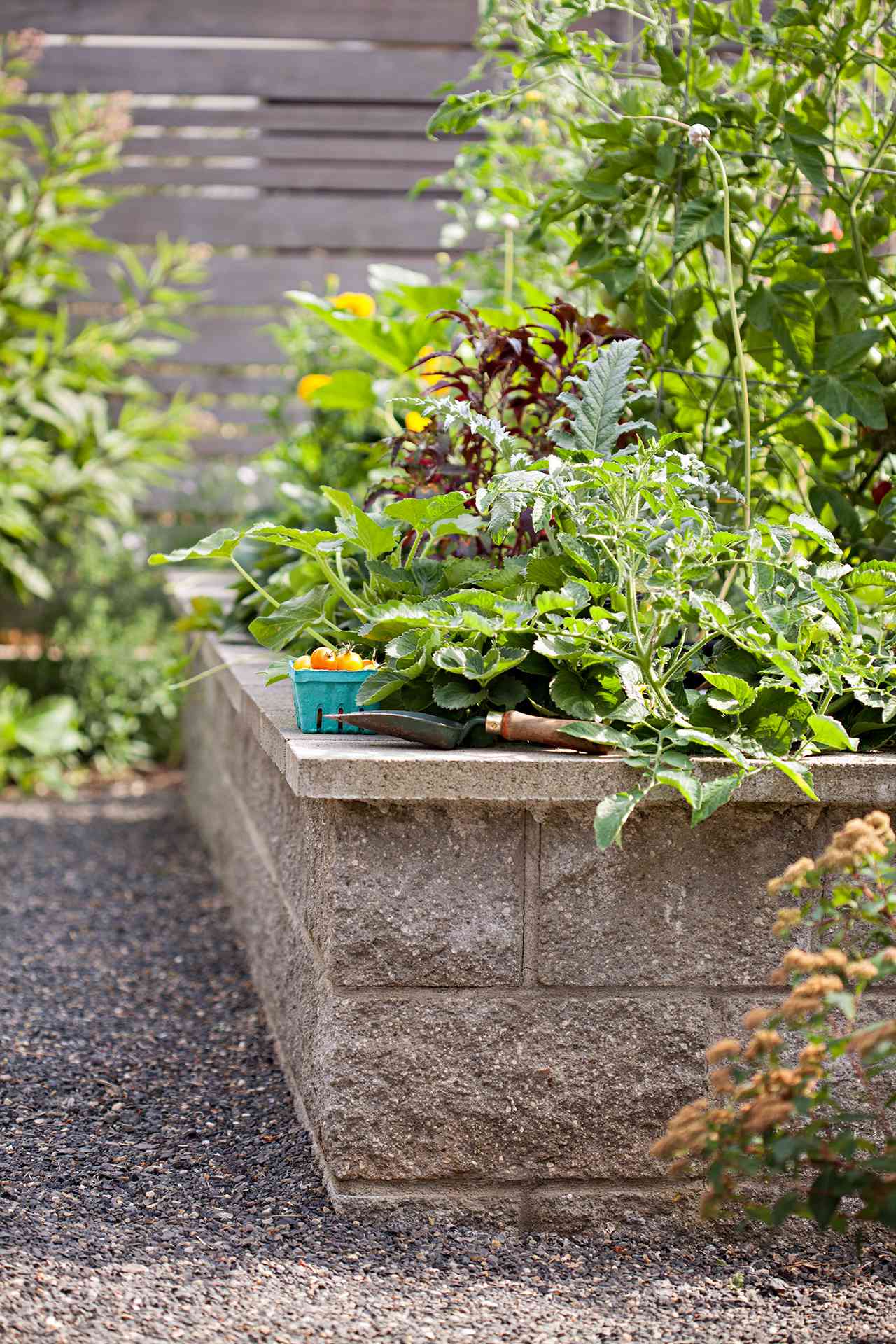 the basics of organic gardening in raised garden beds | better homes