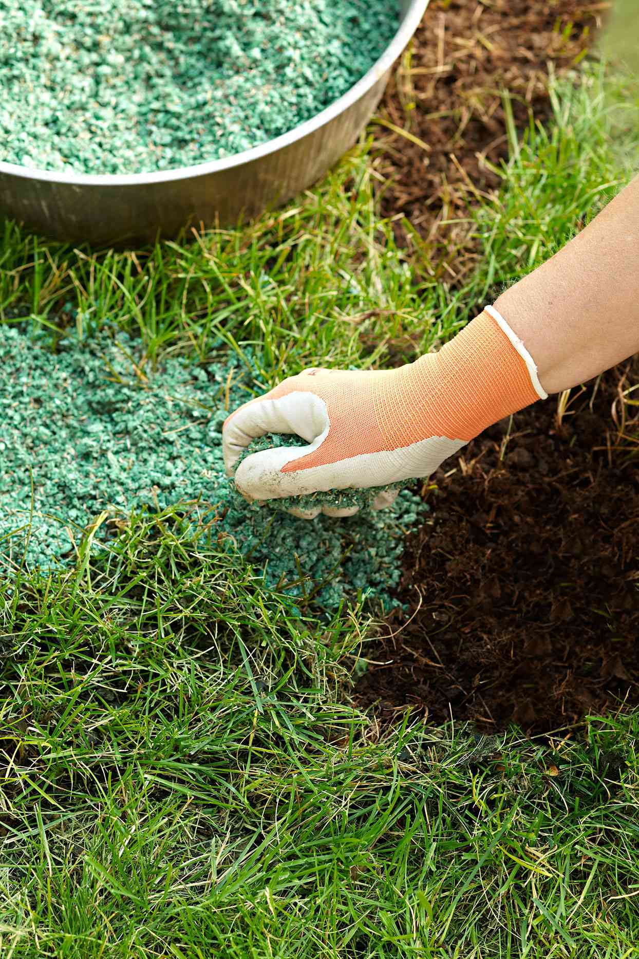 Organic Lawn Fertilizer | Better Homes