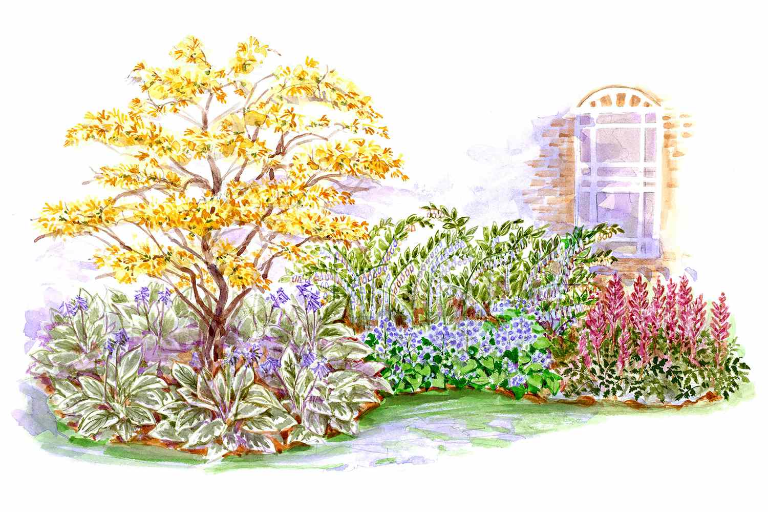 shade garden plans | better homes & gardens