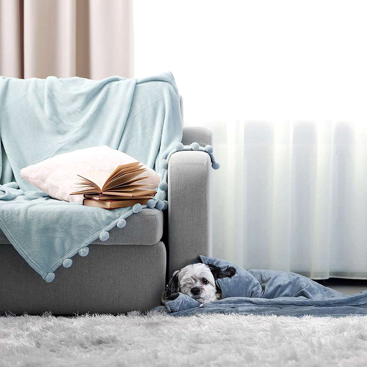 This Weighted Dog Blanket Is Just What Your Anxious Pup Needs | Better