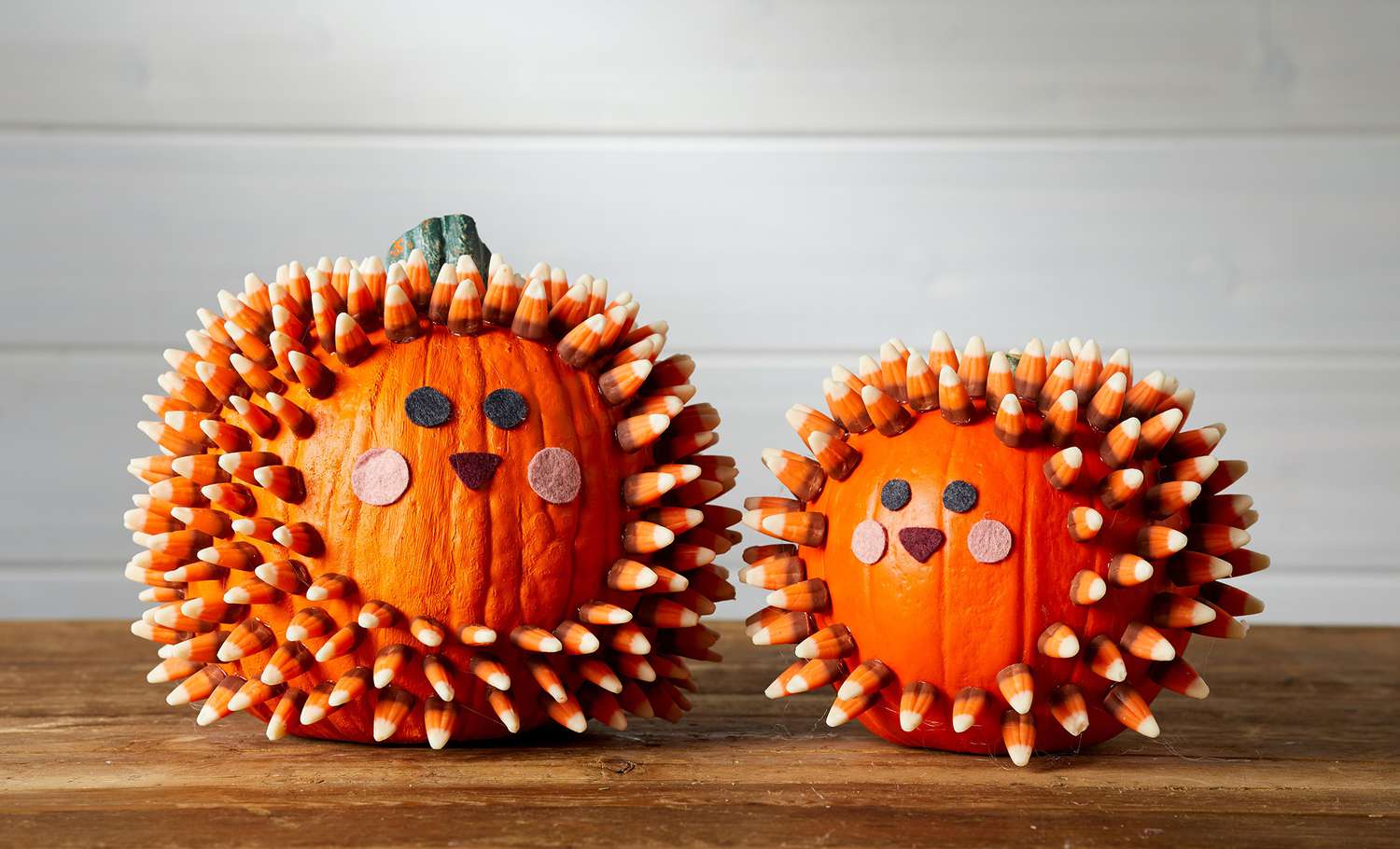 Orange And White Velvet Pumpkins & Pinecones Great For Fall Crafts 
