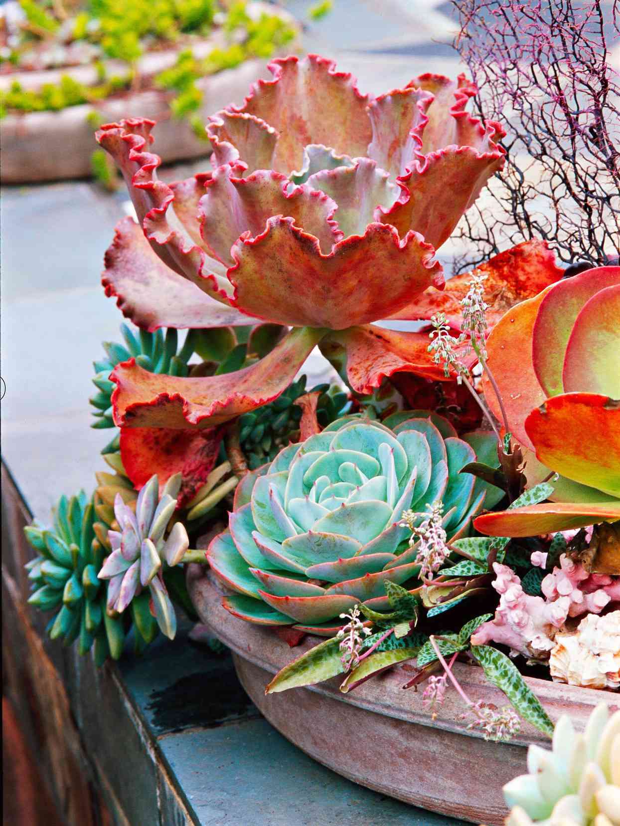 4 PCS/Set Round Plastic Succulent Planters Plant Flower Pots Home Garden Decor 