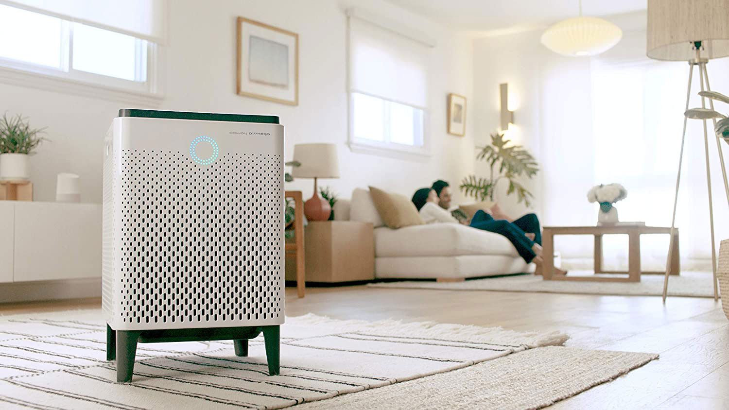 The 9 Best Air Purifiers for Pets in 2022 - Better Homes & Gardens