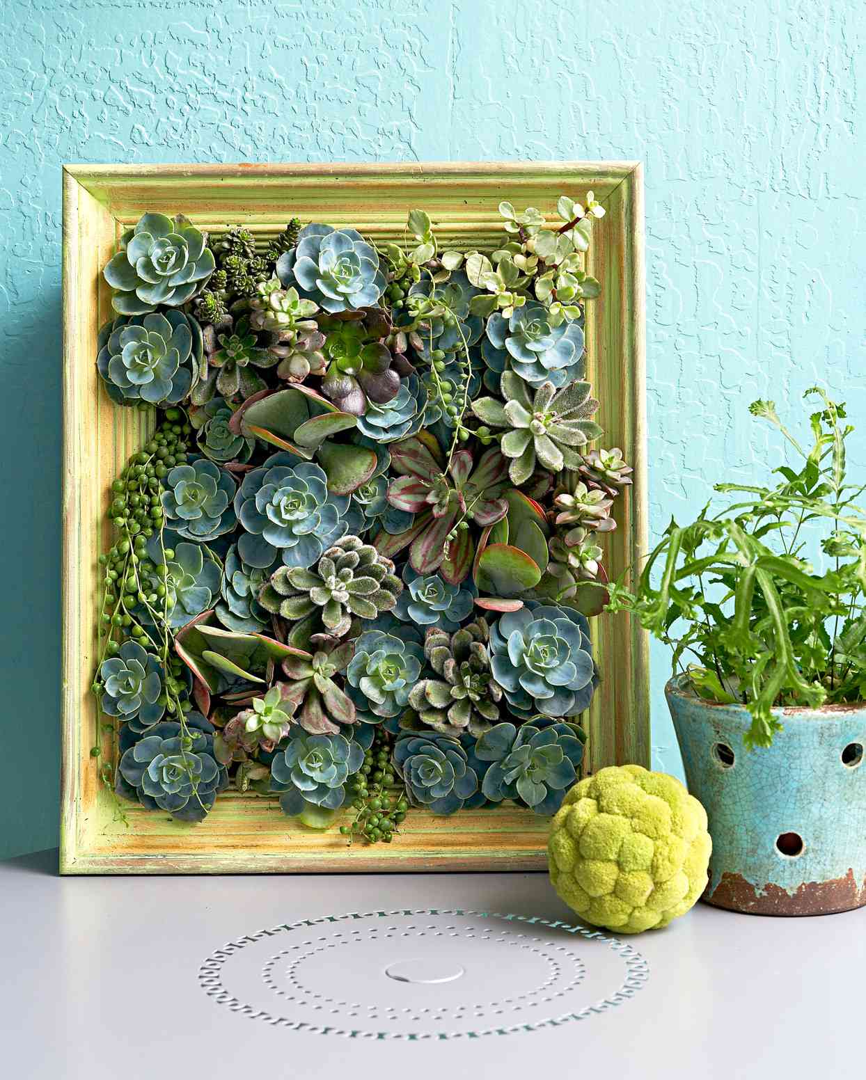Let's Stay Home Photo Ledge Picture Frame and Succulent