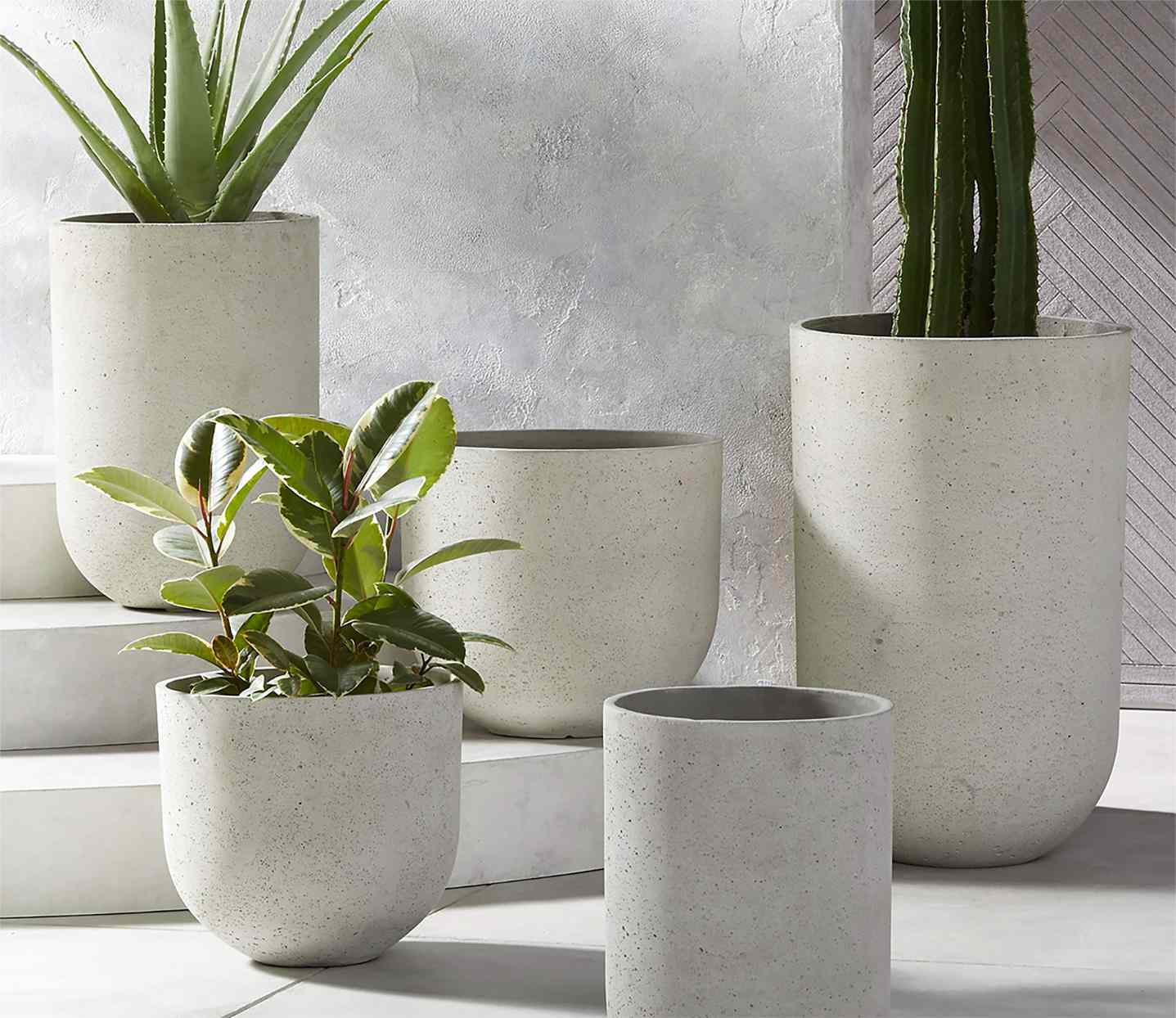 Faux Concrete Planters for Modern Looking Spaces  Better Homes