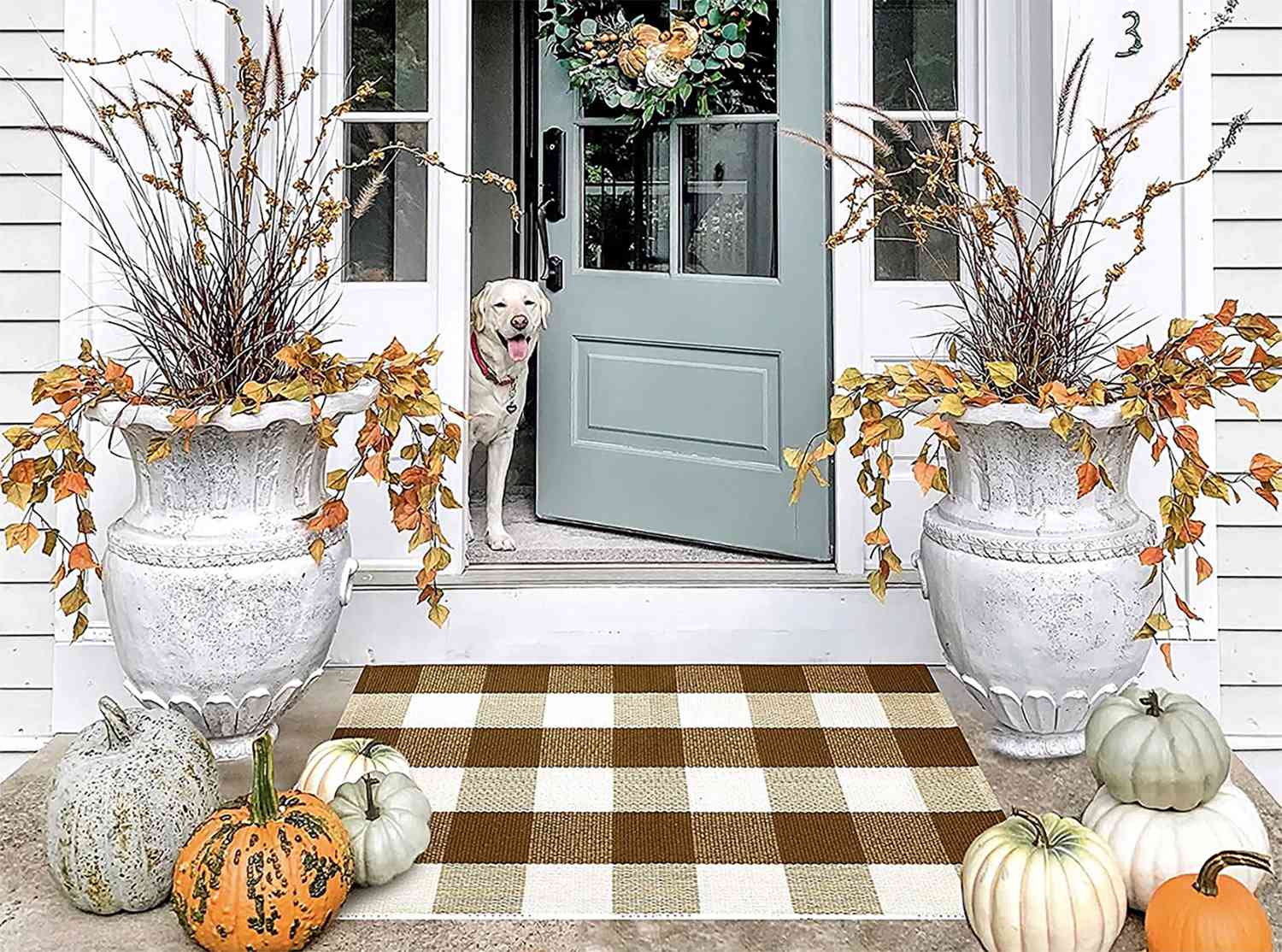 ZZAEO Pumpkin Seed Cone Autumn Leaves Doormat 31 x 20 inch Decor Indoor Outdoor Entrance Bathroom Door Mat 