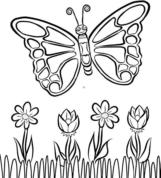 Download Free Butterfly Coloring Page Parents