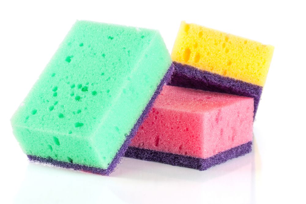 Stop Microwaving Your Sponge New Study Shows It Makes Bacteria Worse Parents
