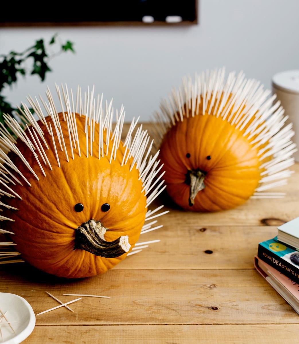 Hedgehog Pumpkin | Beanstalk Mums