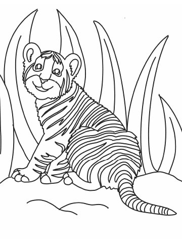 Free Printable Animal Coloring Pages Parents
