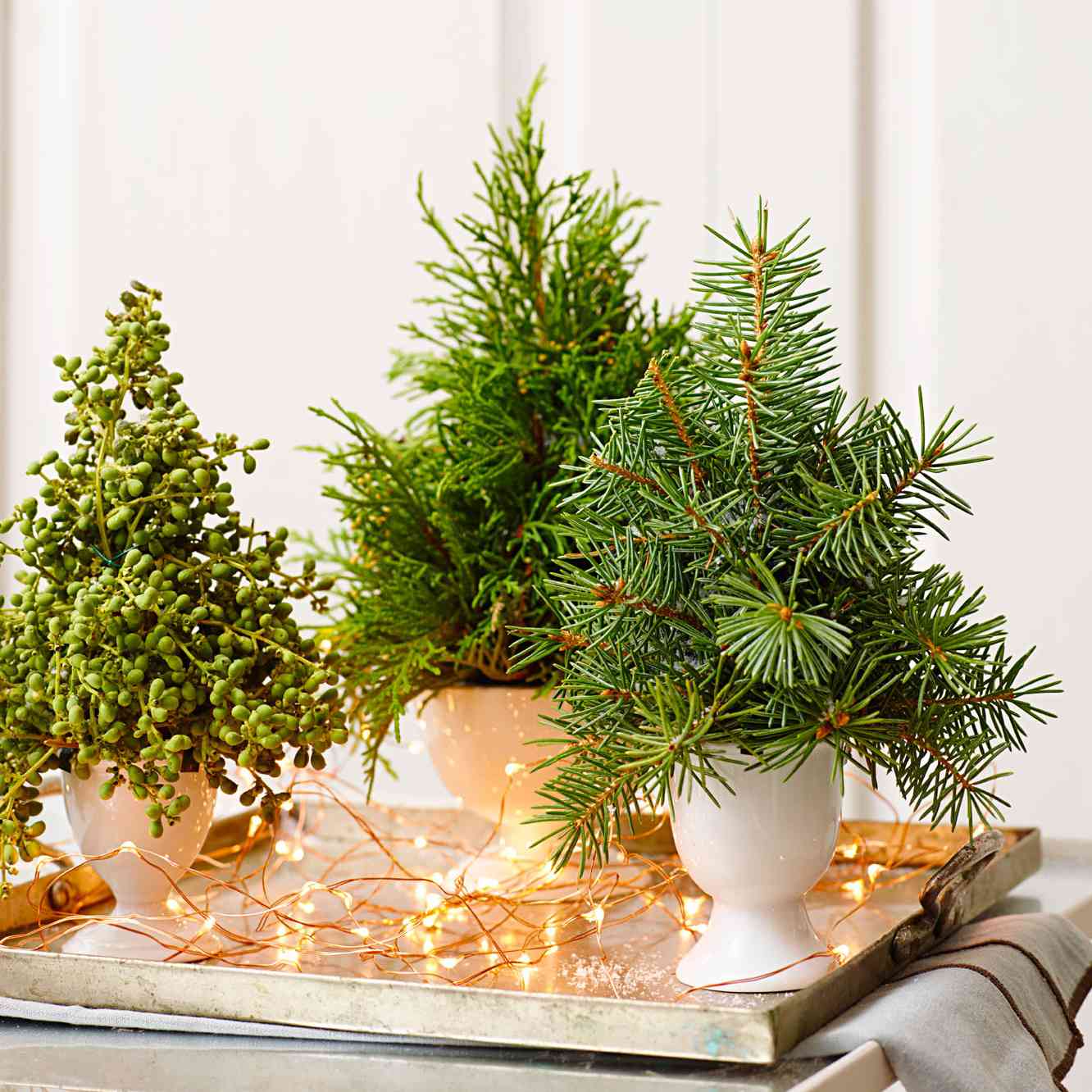 How to Decorate Your Houseplants for Christmas | HappySprout