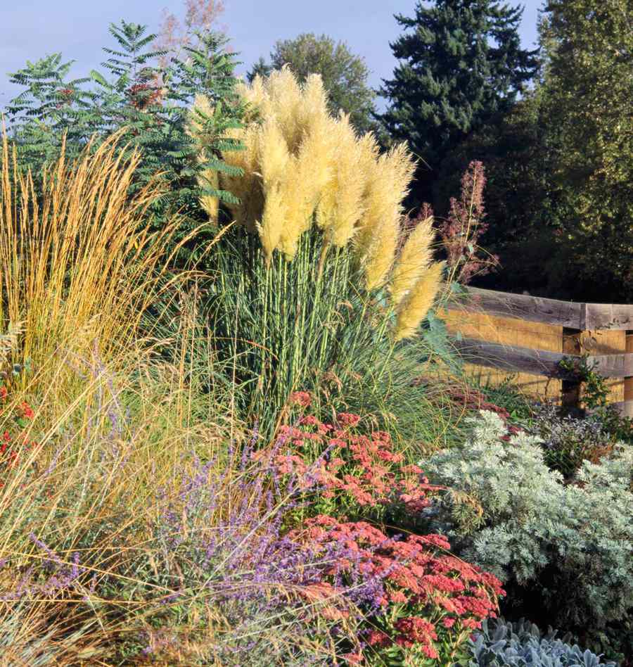 Best Ornamental Grasses For Midwest, Landscaping With Ornamental Grasses Plans
