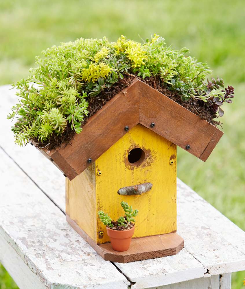 Bird House Green Floral NEW wood with sparkles on roof 