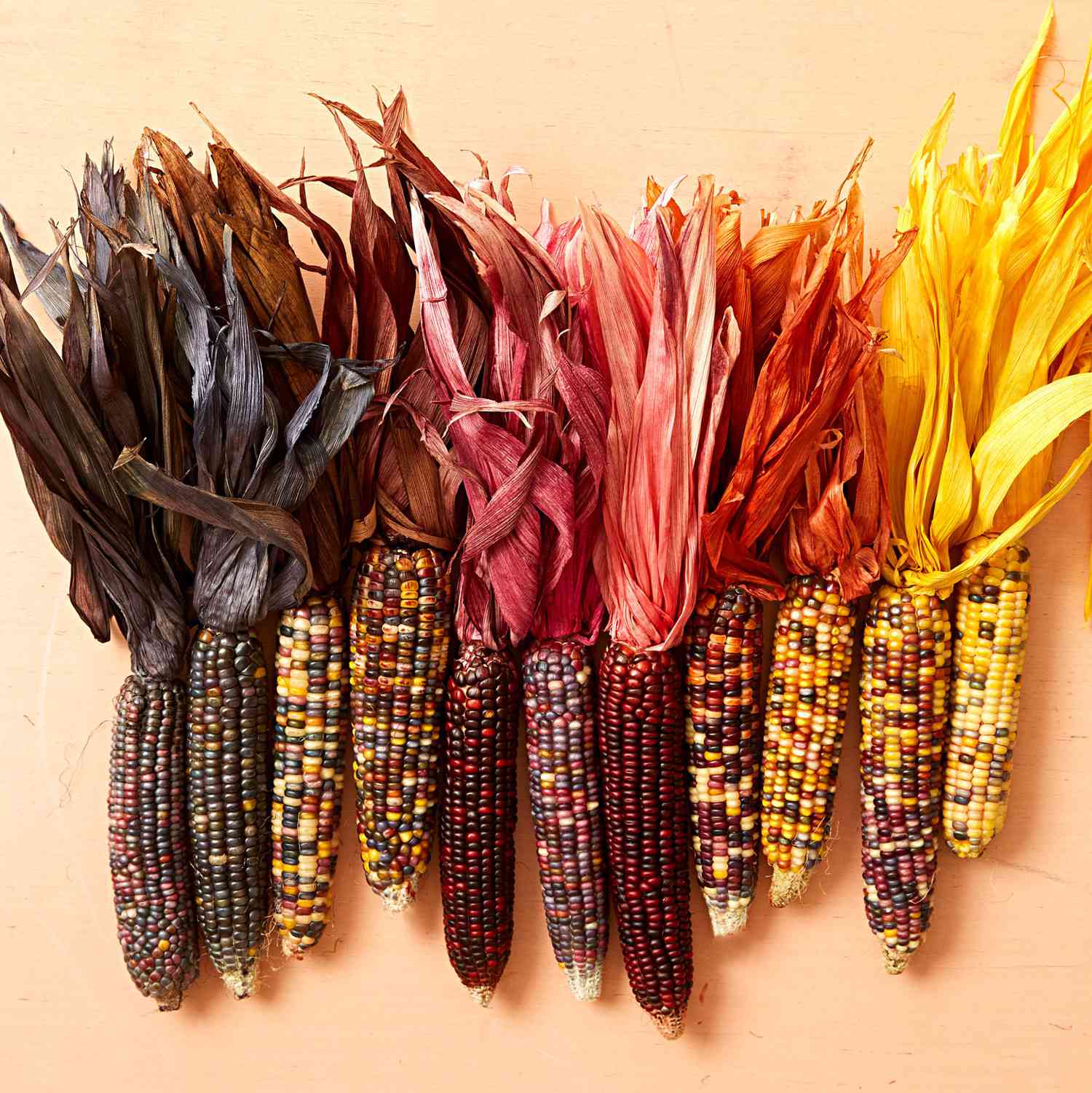 Thanksgiving Dried Corn Cob Garland With Corn Husks Farmhouse Primitive