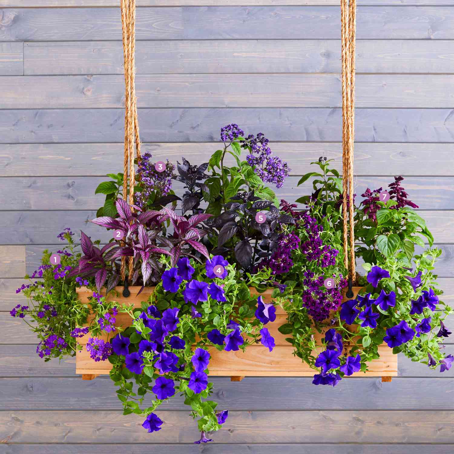 Bright And Beautiful Window Box Planters Midwest Living