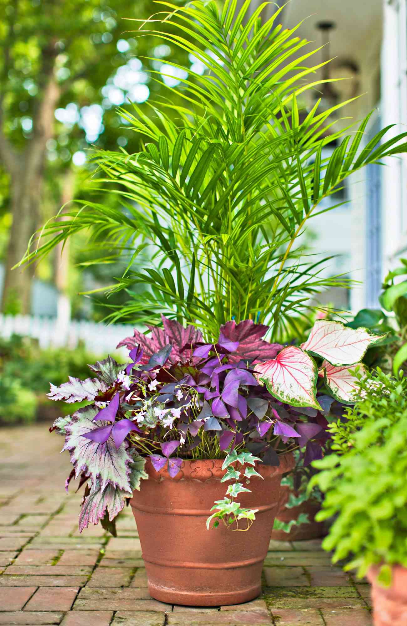 Container Gardens for the Midwest   Midwest Living