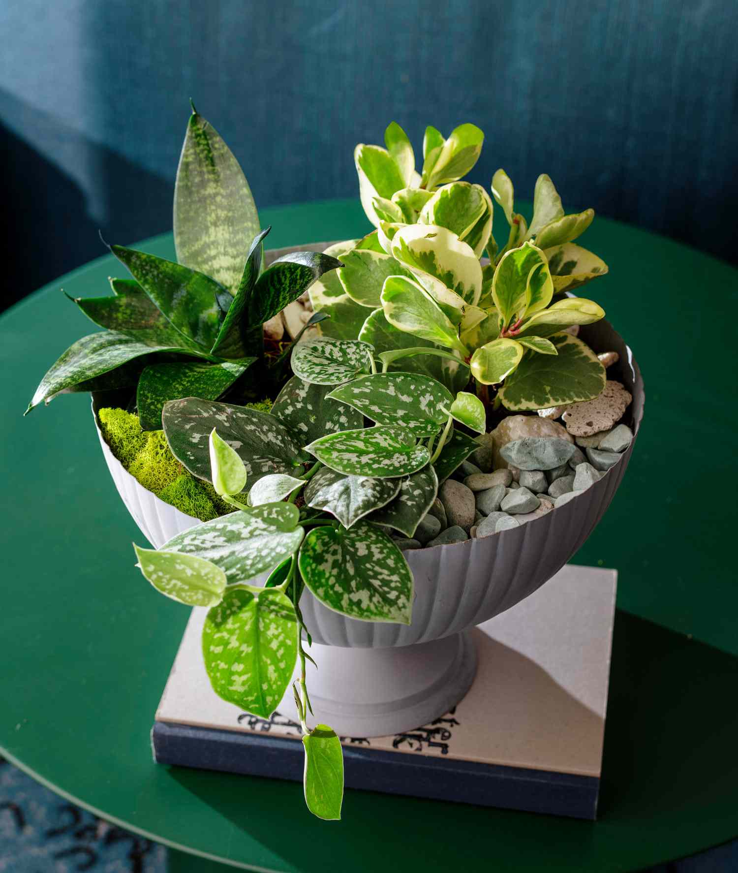 Indoor Plant Arrangement Ideas   Midwest Living