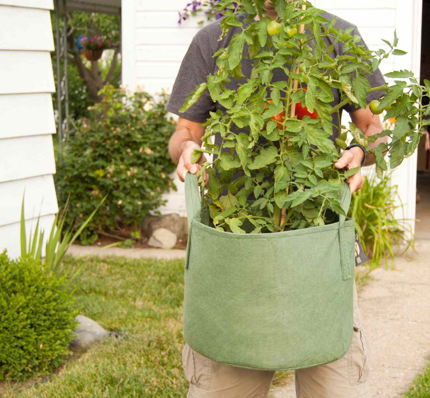 sextant Calm Economic How to Use Grow Bags for Amazing Vegetable Gardens | Midwest Living