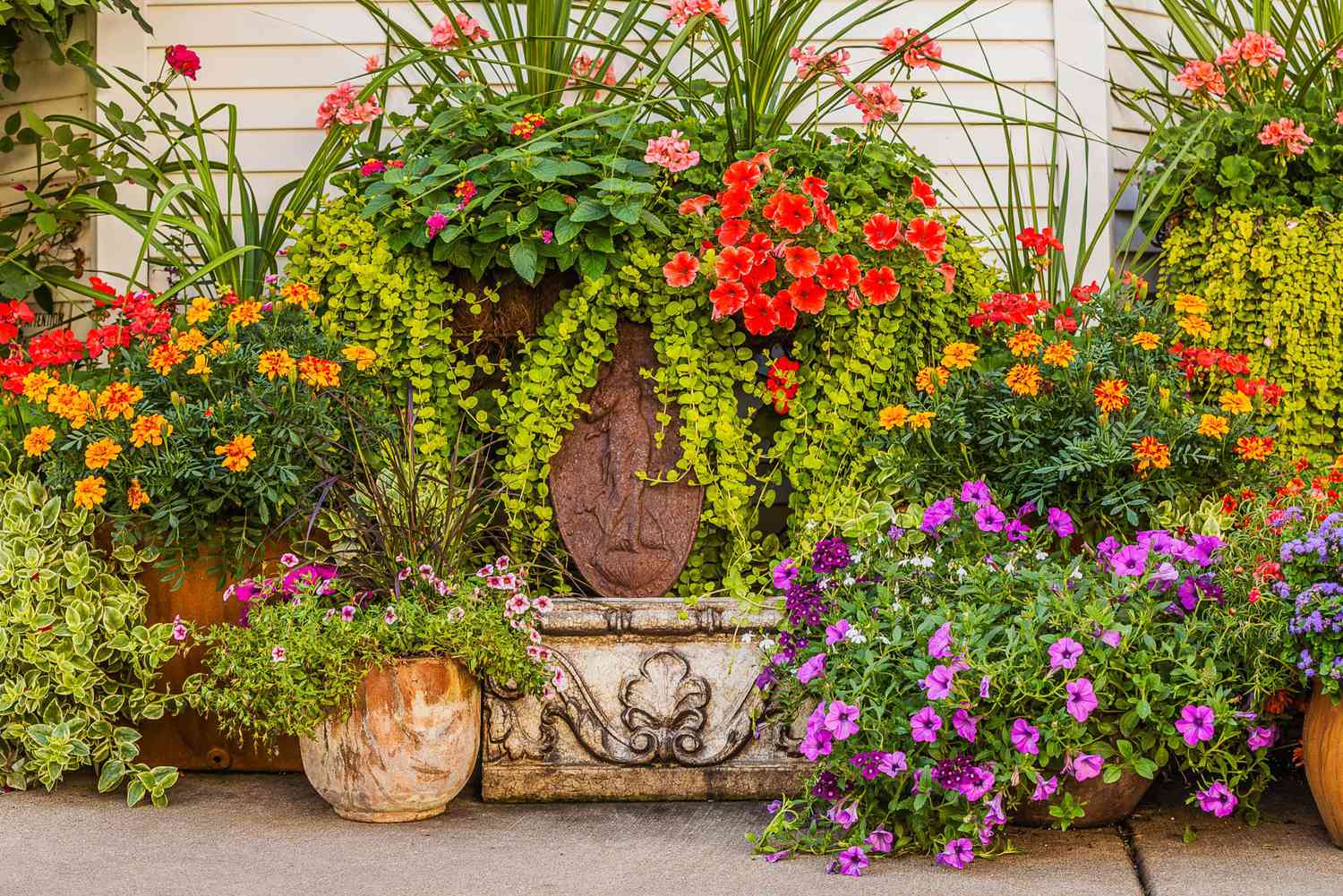 Container Gardens Just Right for the Midwest | Midwest Liʋing