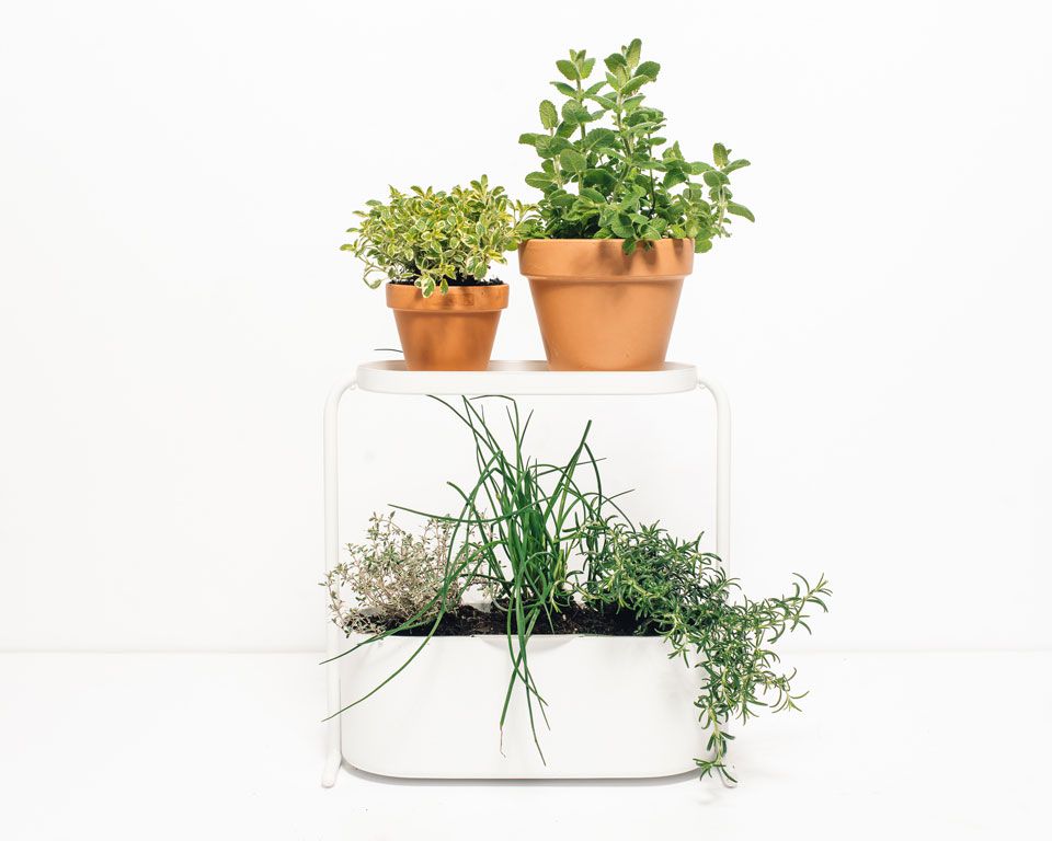 Diy Indoor Herb Garden For Your Desk, Diy Indoor Herb Garden With Grow Light