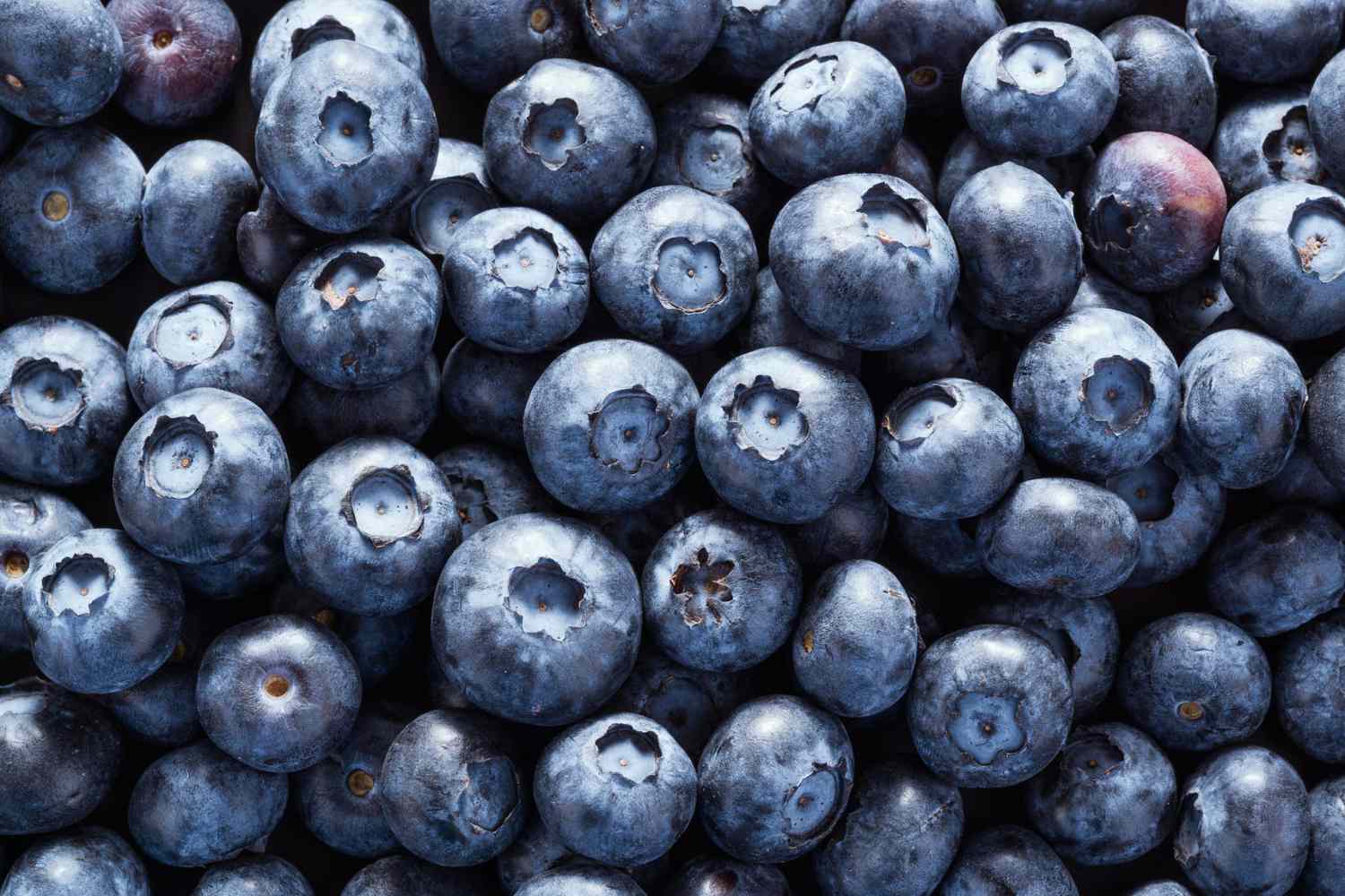 How to Store Blueberries   EatingWell