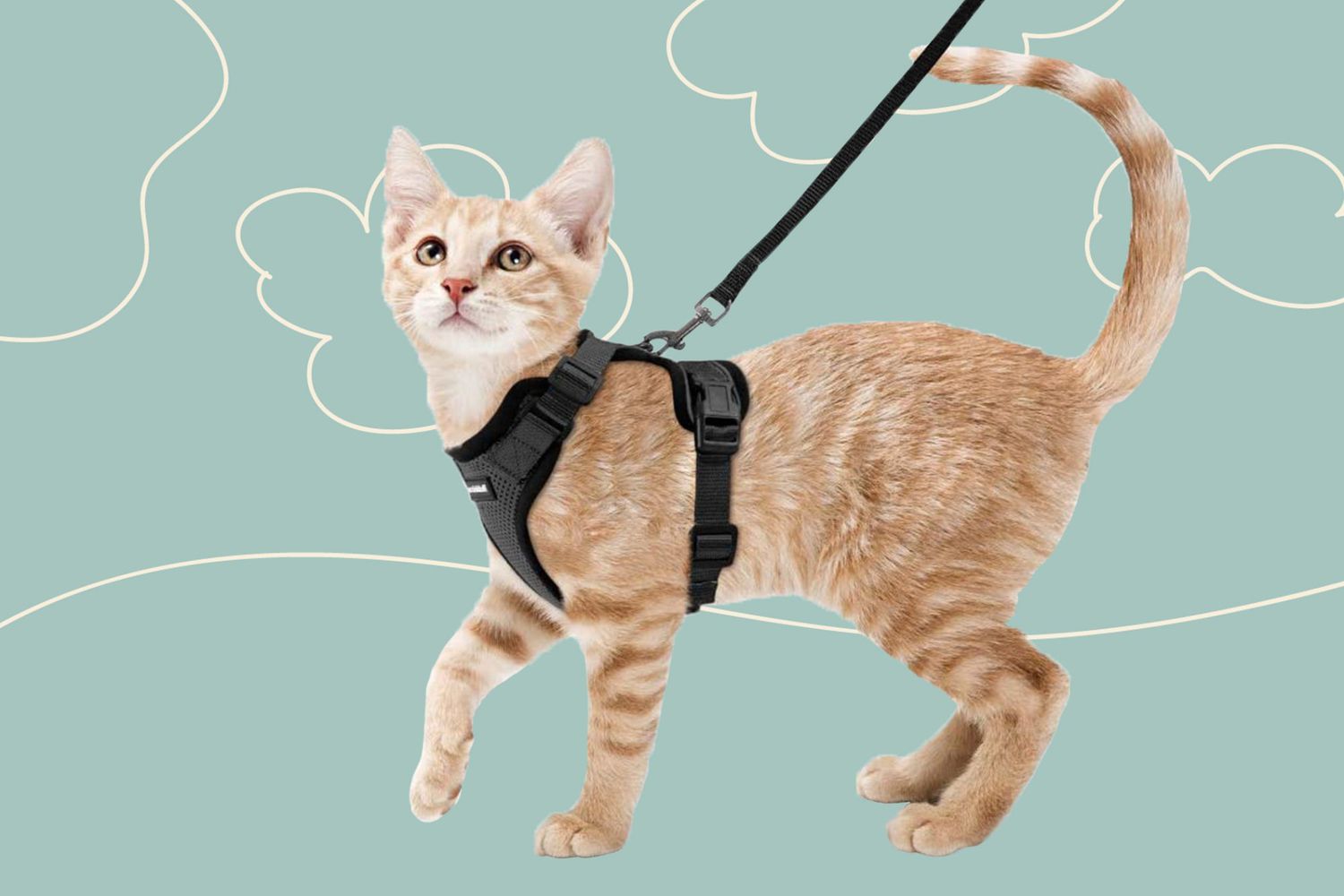 Cat Harness and Lead Set Vest Chest Strap Adjustable Soft Harnesses Nylon Strap with Fashion Style Design Escape Proof for Walking Outdoor Kittens Puppies Cats Black