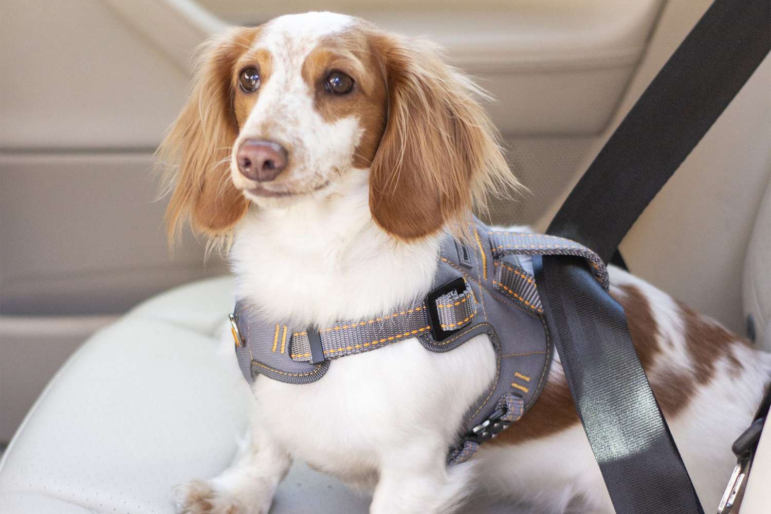 Hot Adjustable Dog Pet Car Safety Seat Belt Harness Restraint Lead Travel Leash 