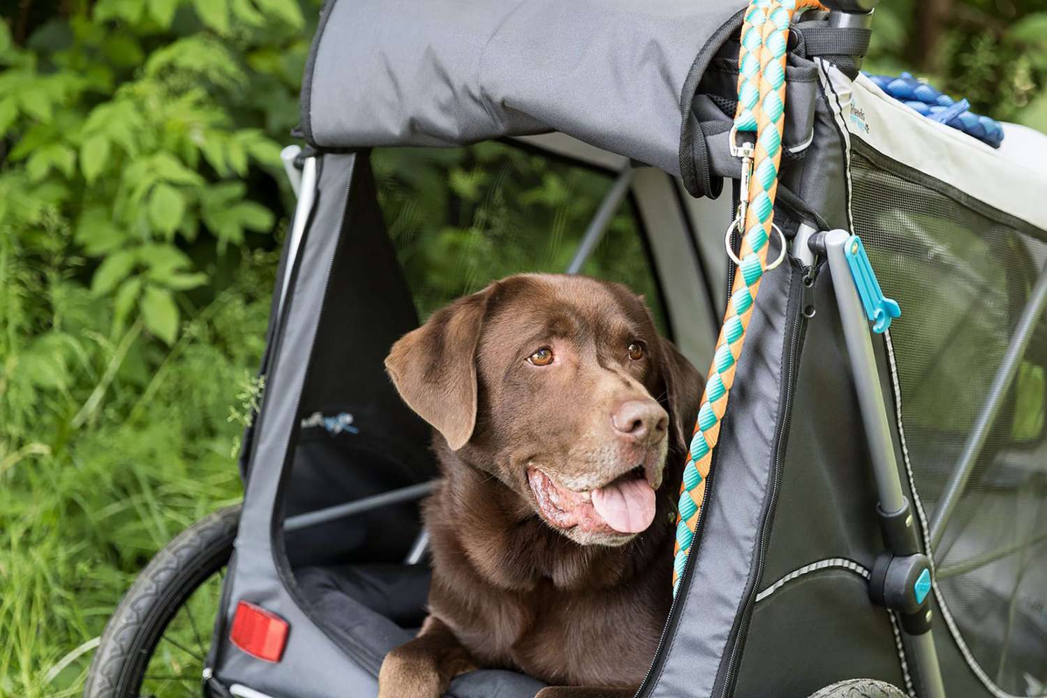 rain Cover Included Red and Black vidaXL 2-in-1 Large Pet Stroller/Bike Trailer/Jogging Stroller for one Large or Multiple Medium Dogs with tire Suspension and Aluminum Frames 